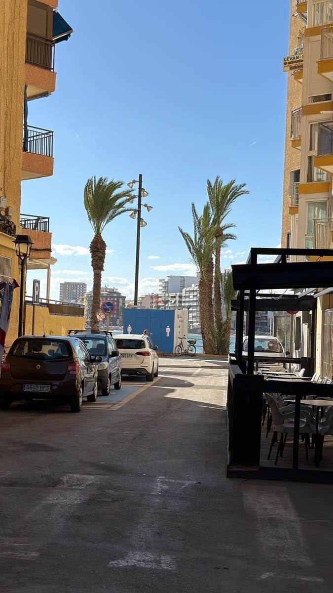 Studio do wynajęcia w Torrevieja - 550 € (Ref: 9335161)