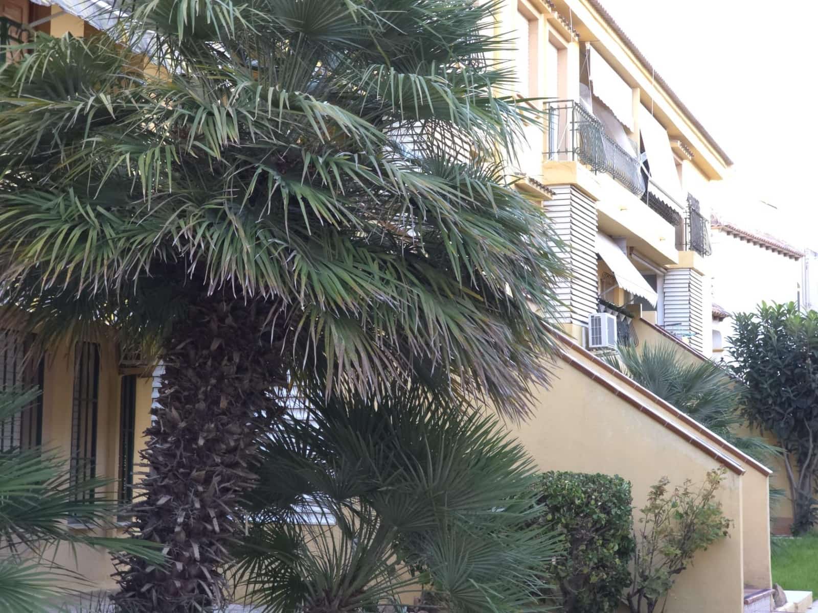 2 soverom Penthouse til salgs i Torrevieja - € 146 800 (Ref: 9374565)