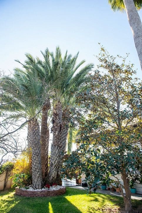 5 bedroom Villa for sale in San Pedro del Pinatar with pool garage - € 1,890,000 (Ref: 7384998)