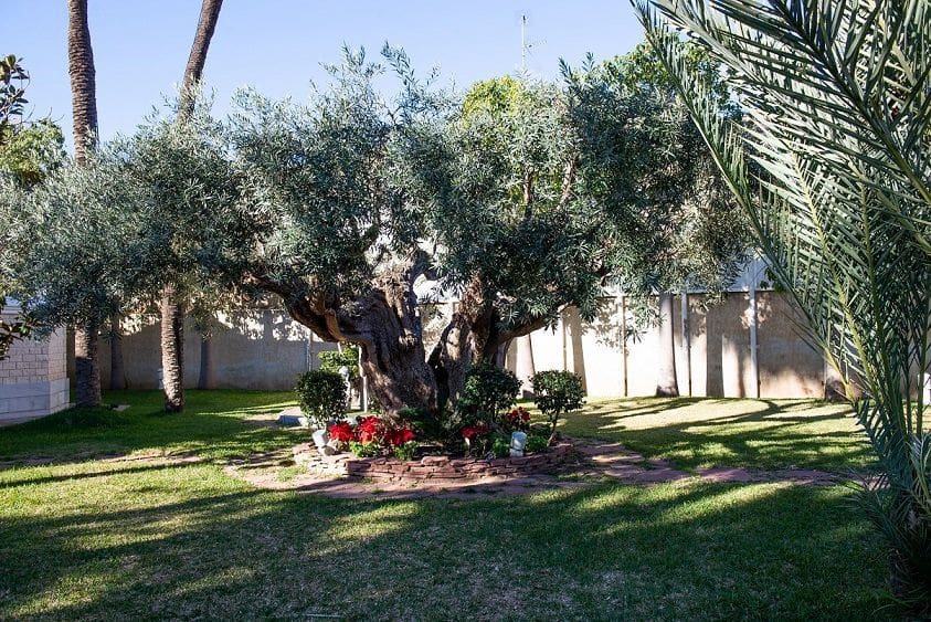 5 bedroom Villa for sale in San Pedro del Pinatar with pool garage - € 1,890,000 (Ref: 7384998)