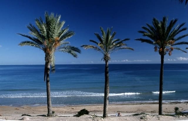 3 bedroom Bungalow for sale in Pilar de la Horadada with pool - € 290,000 (Ref: 8856832)