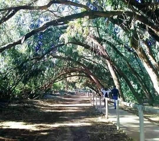 2 camera da letto Bungalow in vendita in Torrevieja con piscina - 281.900 € (Rif: 9276129)