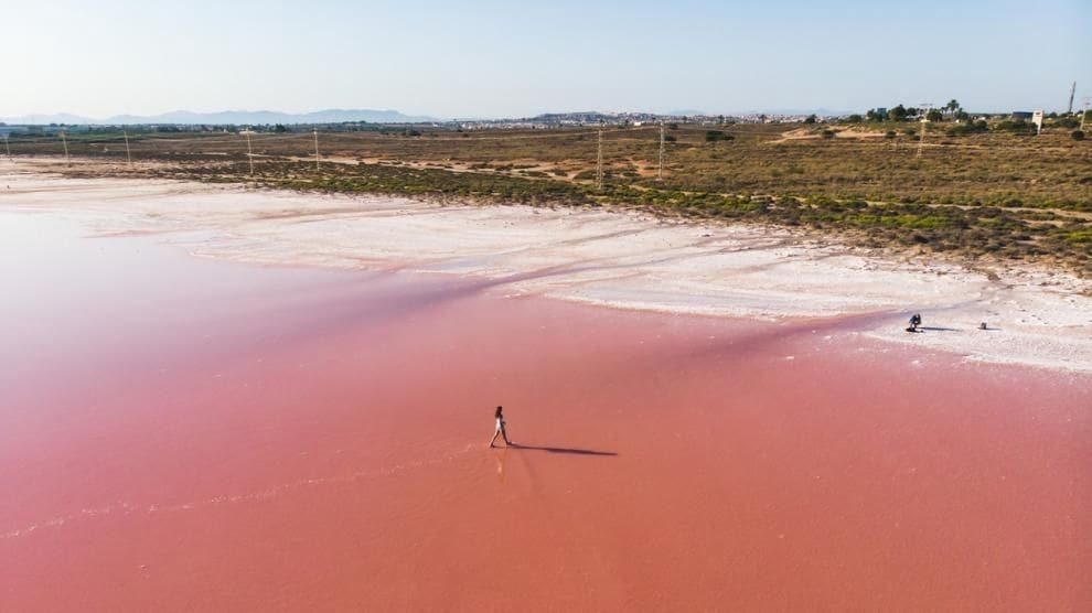 2 chambre Penthouse à vendre à Torrevieja avec piscine - 469 000 € (Ref: 9308296)