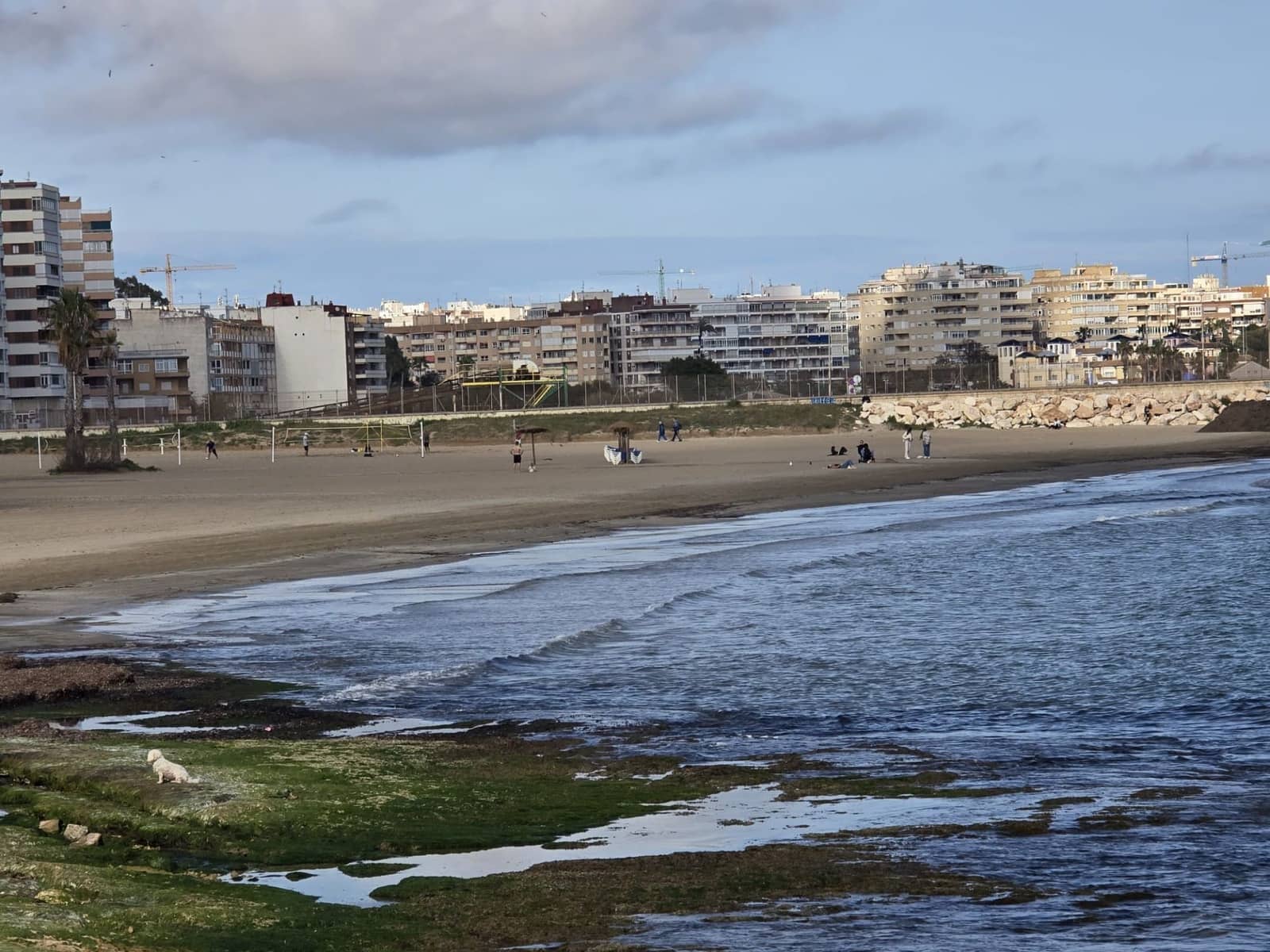 2 chambre Appartement à vendre à Torrevieja - 135 000 € (Ref: 9673911)