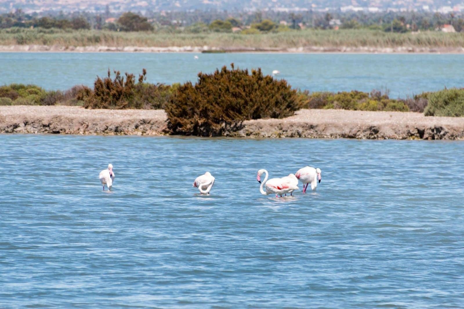 2 camera da letto Appartamento in vendita in Torrevieja - 170.000 € (Rif: 9714590)