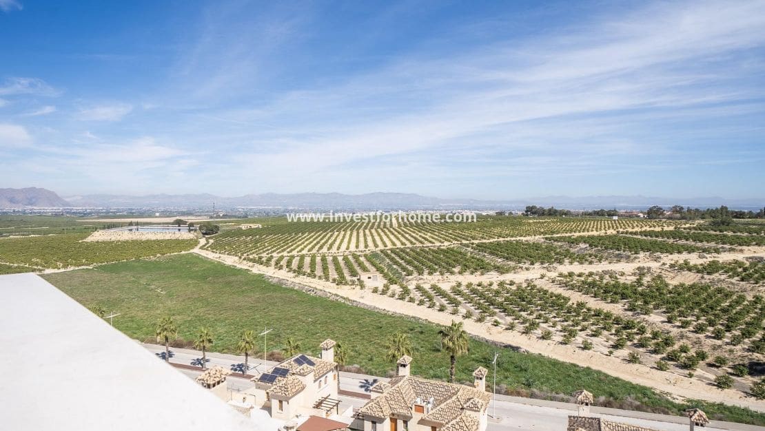 3 Zimmer Villa zu verkaufen in Algorfa mit Pool - 465.000 € (Ref: 9244404)