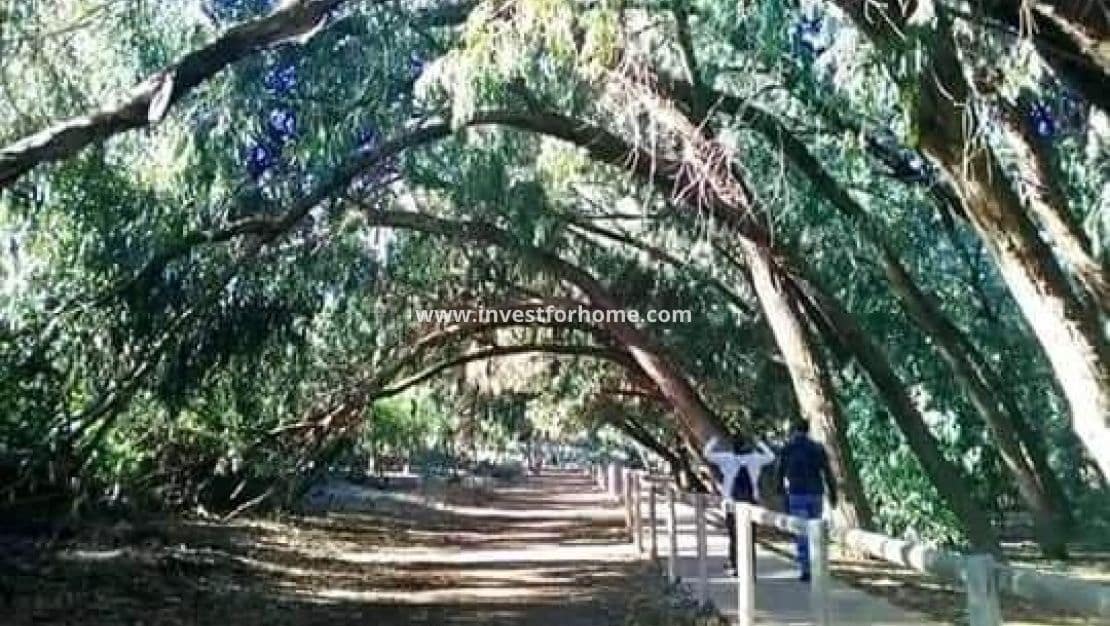 2 soveværelse Bungalow til salg i Torrevieja med swimmingpool - € 274.900 (Ref: 9244431)