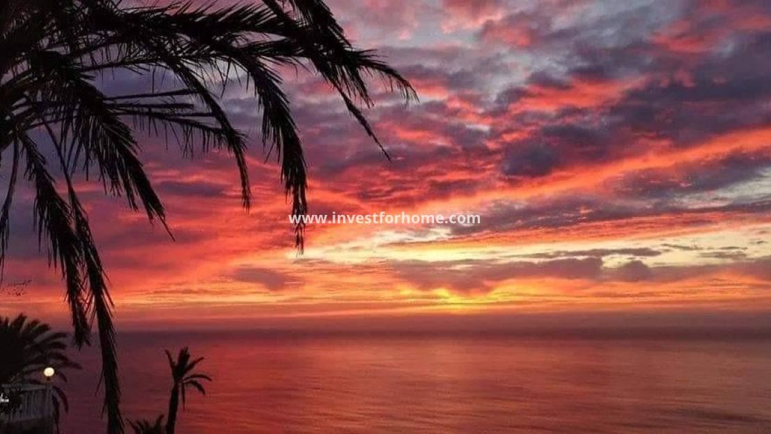 2 soveværelse Bungalow til salg i Torrevieja med swimmingpool - € 263.900 (Ref: 9563694)