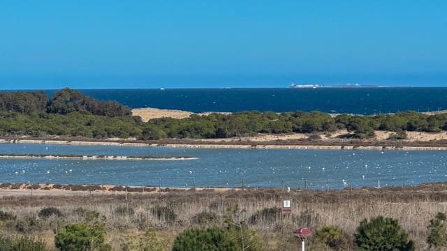 2 chambre Villa/Maison à vendre à La Marina, Elche / Elx avec piscine garage - 299 000 € (Ref: 8154009)