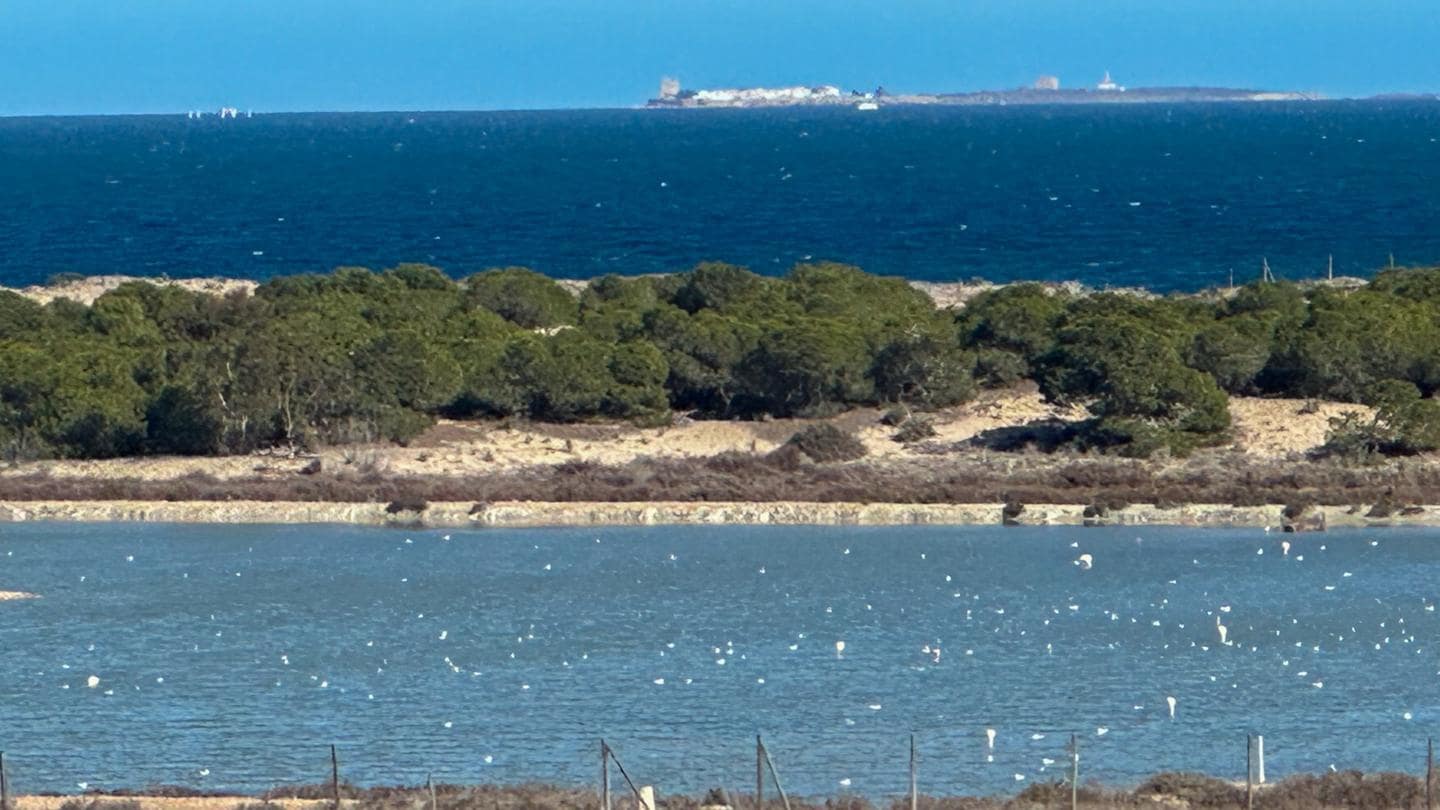 2 chambre Villa/Maison à vendre à La Marina avec piscine garage - 309 000 € (Ref: 8154009)