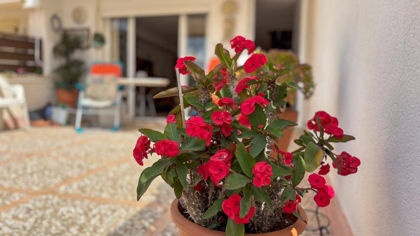 3 sypialnia Willa na sprzedaż w Santa Pola z garażem - 599 000 € (Ref: 8332651)