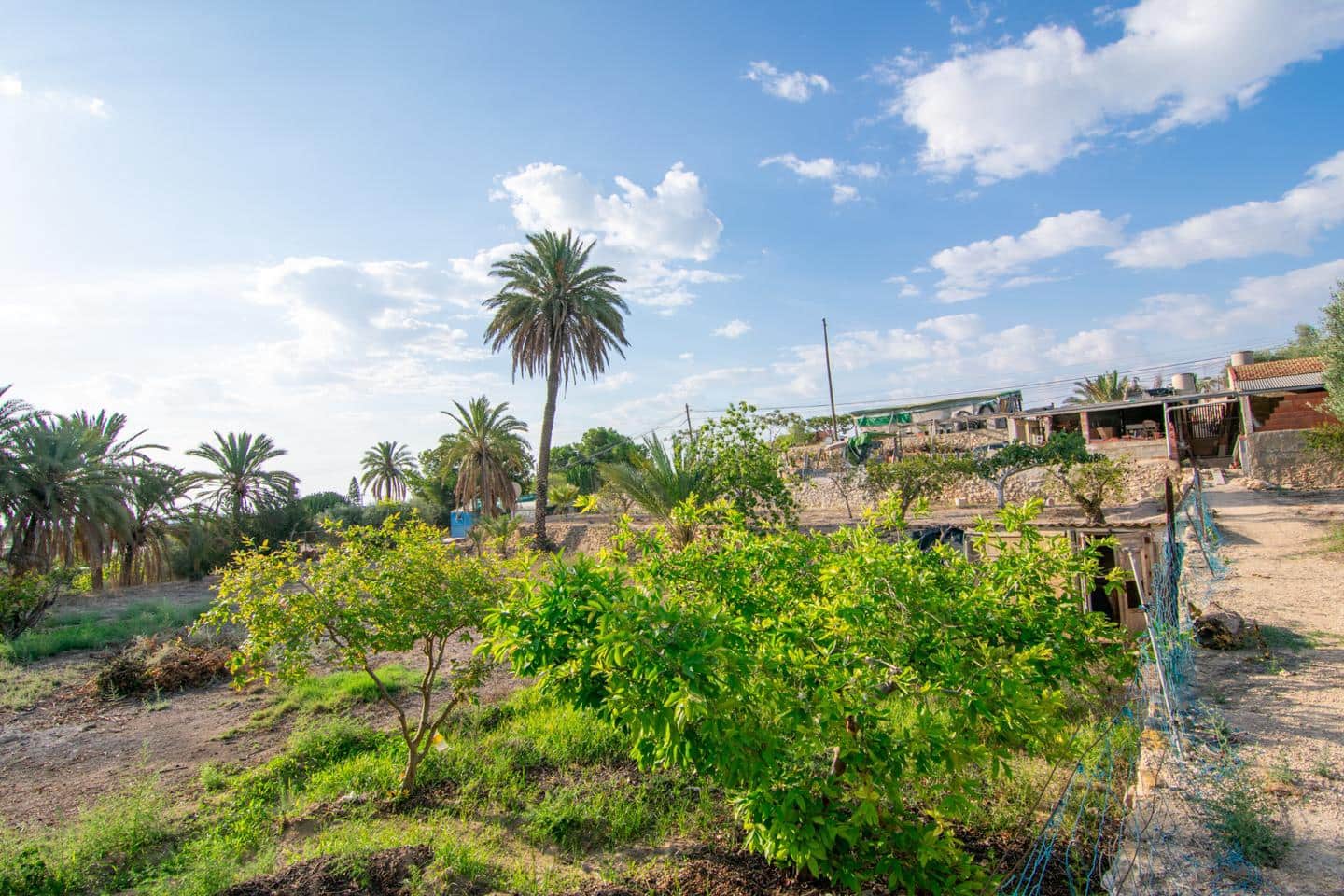 5 sovrum Villa till salu i La Marina med garage - 270 000 € (Ref: 8550185)