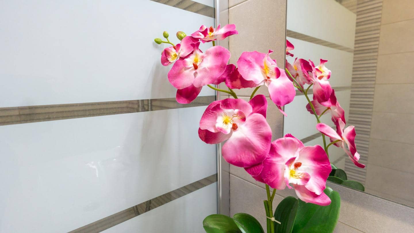 2 sovrum Lägenhet till salu i Santa Pola - 185 000 € (Ref: 9450879)