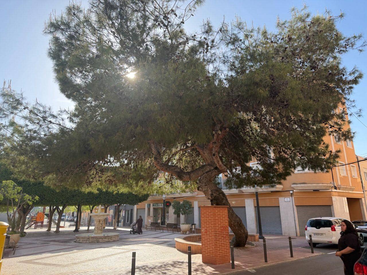 1 chambre Entreprise à vendre à Elche / Elx - 95 000 € (Ref: 9809405)