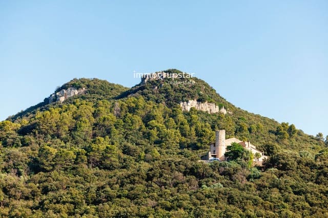 7 sypialnia Willa na sprzedaż w Amer - 1 450 000 € (Ref: 9146560)