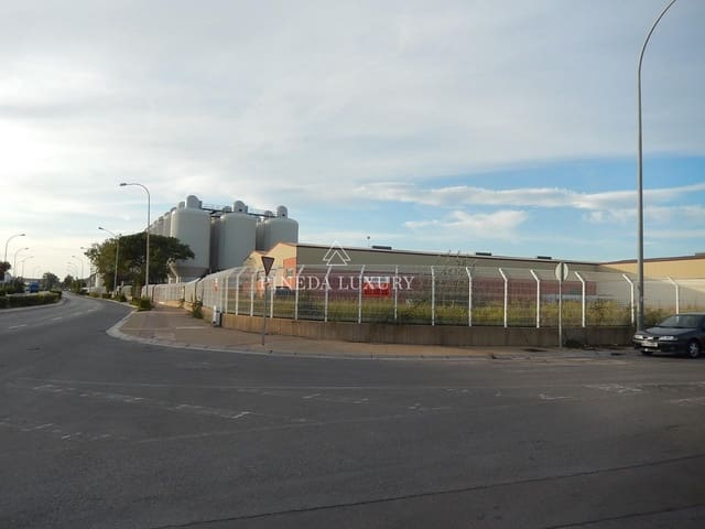 Terreno para Construção para venda em Puig - 750 000 € (Ref: 9400953)