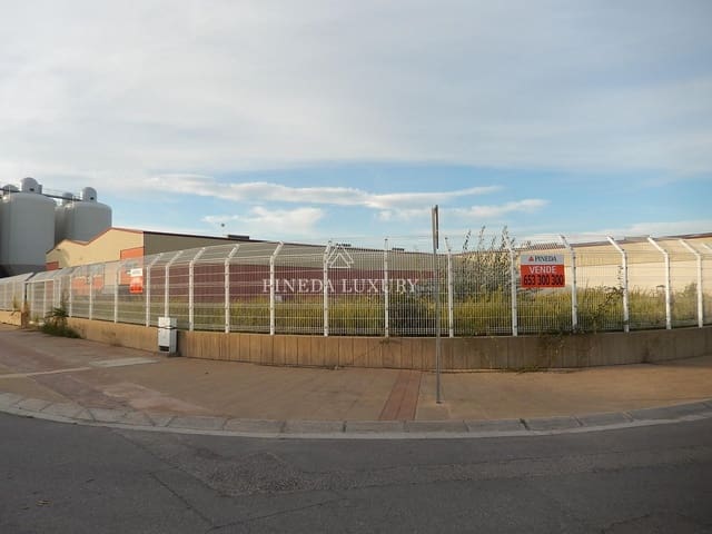 Terreno para Construção para venda em Puig - 750 000 € (Ref: 9400953)