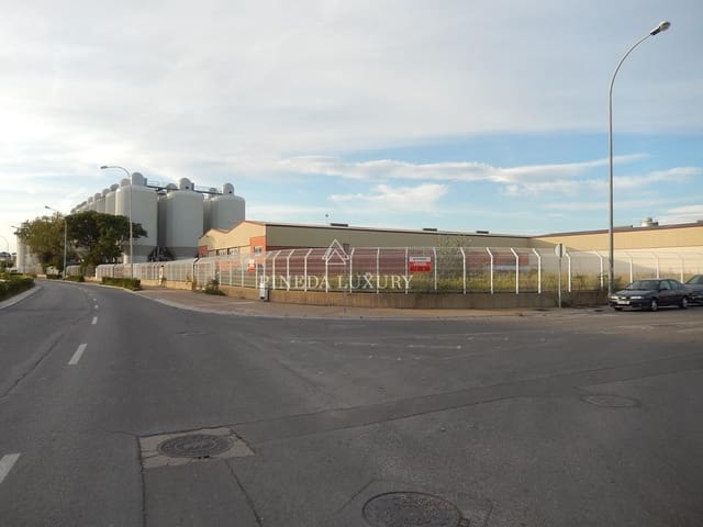 Terreno para Construção para venda em Puig - 750 000 € (Ref: 9400953)