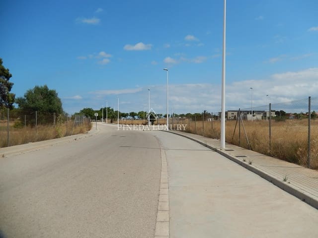 Terrain à Bâtir à vendre à Puçol - 3 976 000 € (Ref: 9406851)