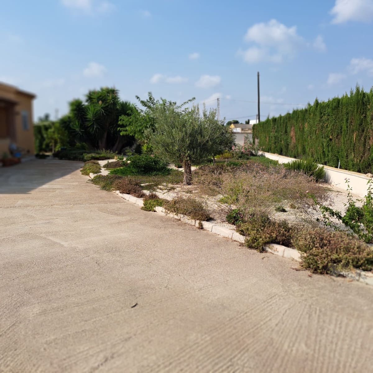 Chalet de 3 habitaciones en Catral en venta con piscina garaje - 390.000 € (Ref: 10078533)