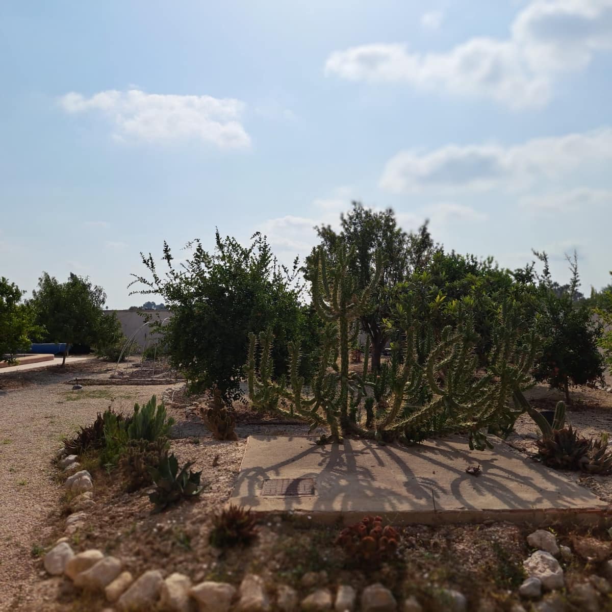 Chalet de 3 habitaciones en Catral en venta con piscina garaje - 390.000 € (Ref: 10078533)