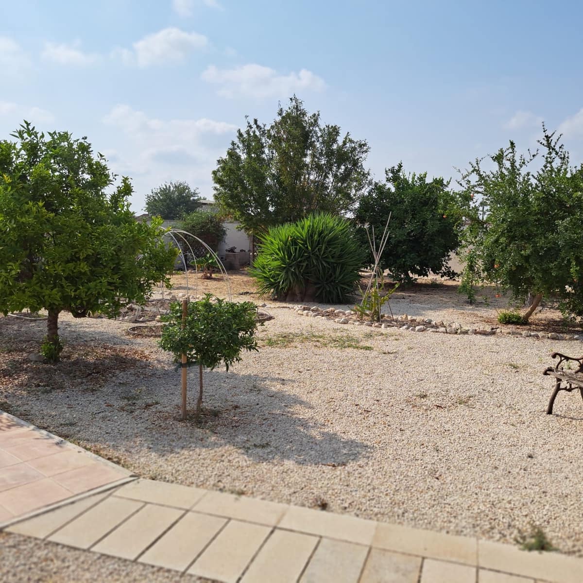 Chalet de 3 habitaciones en Catral en venta con piscina garaje - 390.000 € (Ref: 10078533)