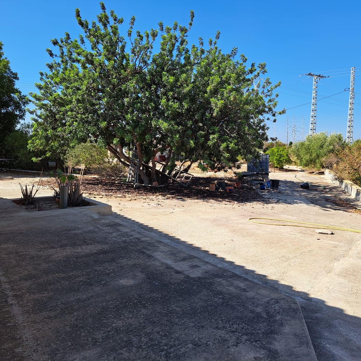 4 Zimmer Villa zu verkaufen in Crevillente / Crevillent mit Pool Garage - 850.000 € (Ref: 10079879)