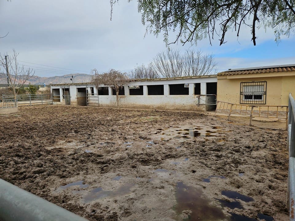 2 camera da letto Villa in vendita in Orihuela con piscina garage - 450.000 € (Rif: 10079887)