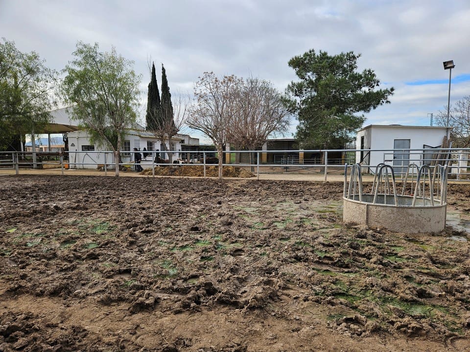 2 camera da letto Villa in vendita in Orihuela con piscina garage - 450.000 € (Rif: 10079887)