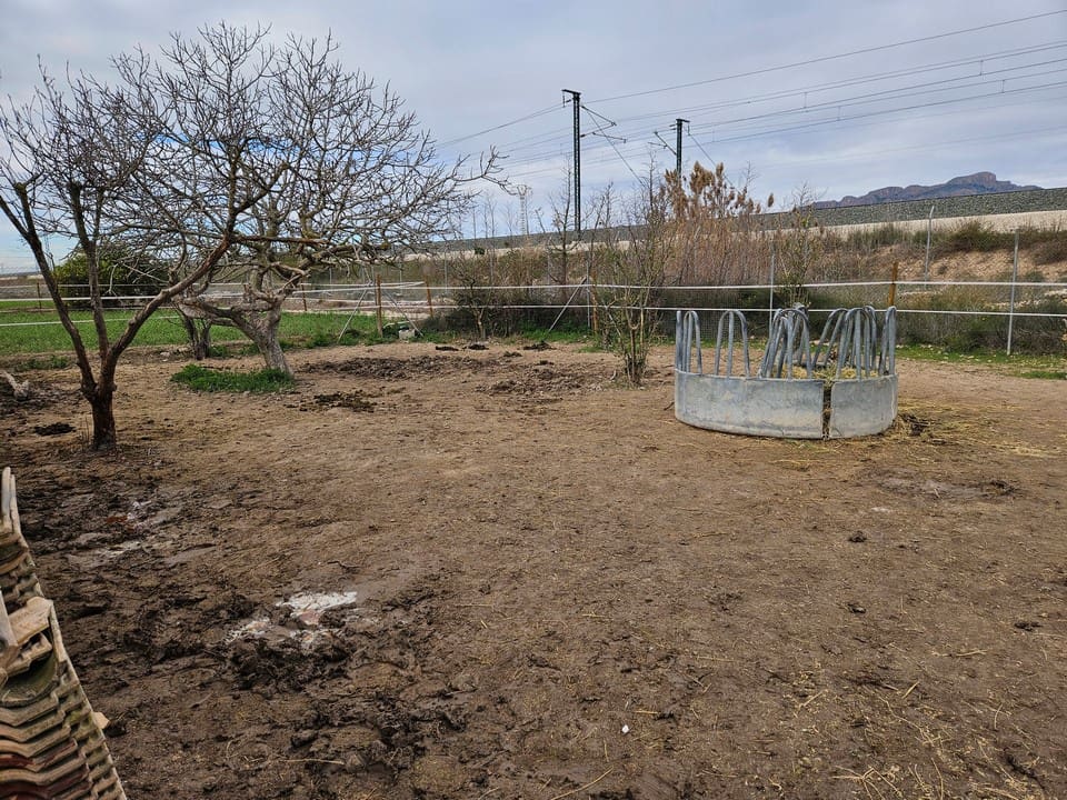 2 camera da letto Villa in vendita in Orihuela con piscina garage - 450.000 € (Rif: 10079887)