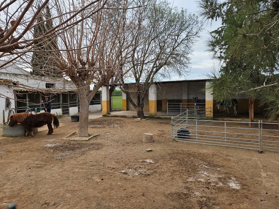 2 camera da letto Villa in vendita in Orihuela con piscina garage - 450.000 € (Rif: 10079887)