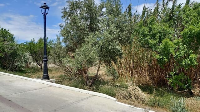 Byggegrund til salg i Lúcar - € 53.000 (Ref: 9176568)