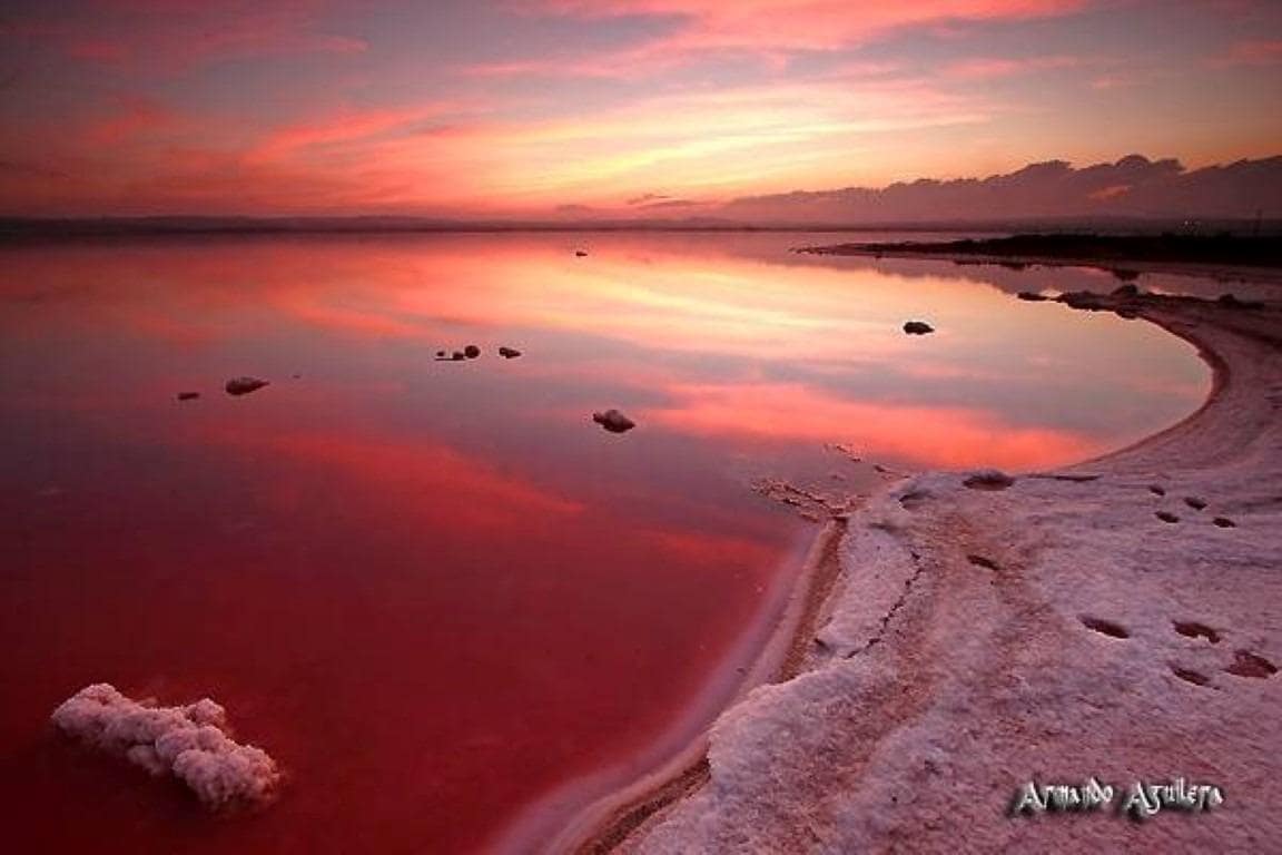 2 bedroom Apartment for sale in La Siesta - € 209,500 (Ref: 9739172)