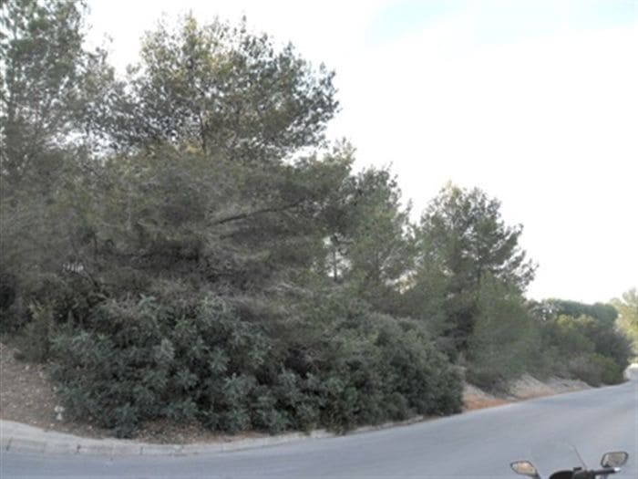 Byggegrund til salg i Pedreguer - € 325.500 (Ref: 8695446)