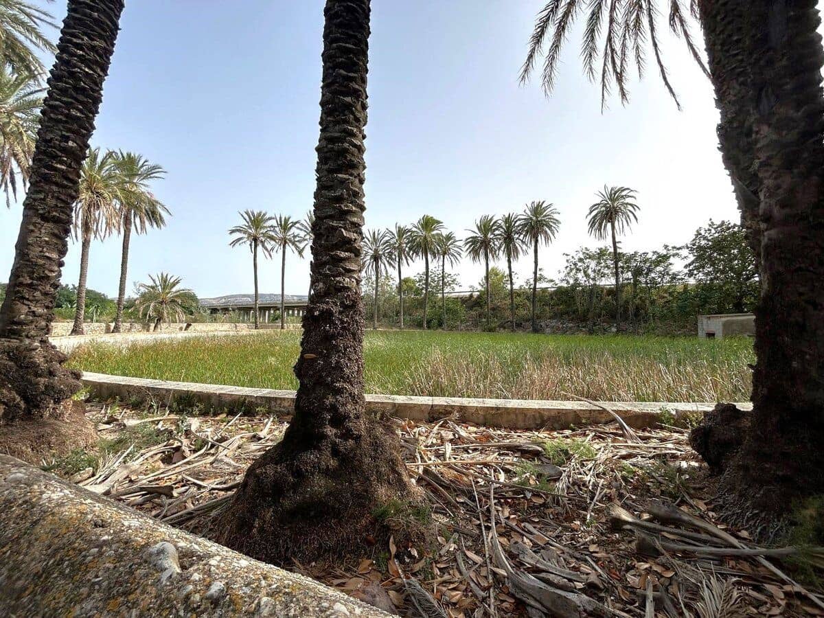 Działka budowlana na sprzedaż w Ondara - 500 000 € (Ref: 8695472)