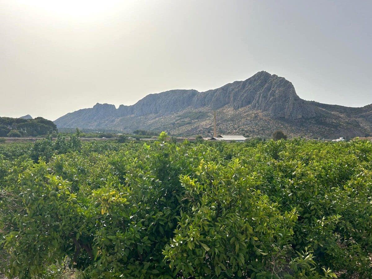 Finca/Landehus til salg i Ondara - € 500.000 (Ref: 8695473)