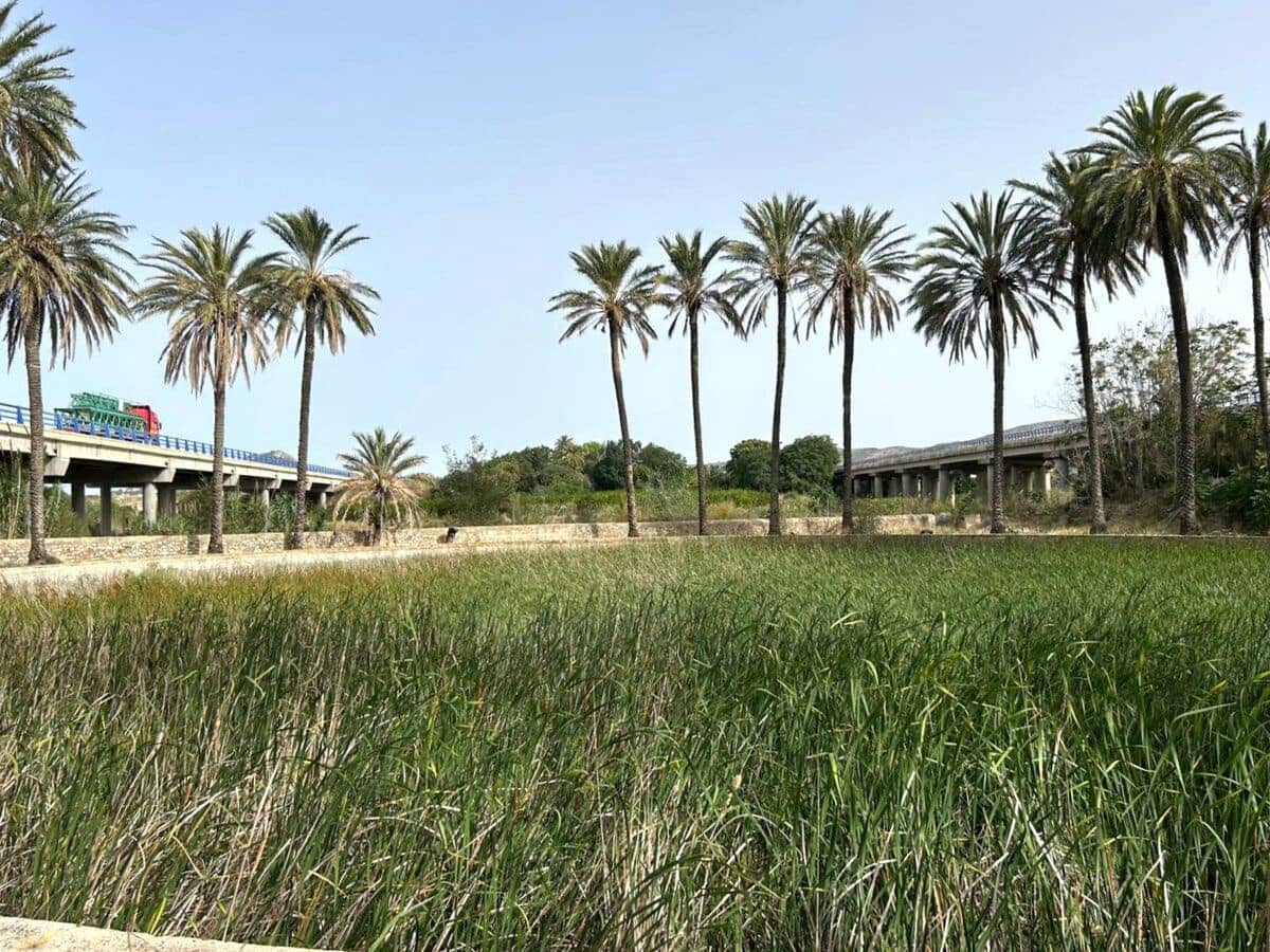 Finca/Landehus til salg i Ondara - € 500.000 (Ref: 8695473)