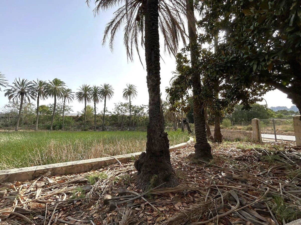 Finca/Landehus til salg i Ondara - € 500.000 (Ref: 8695473)