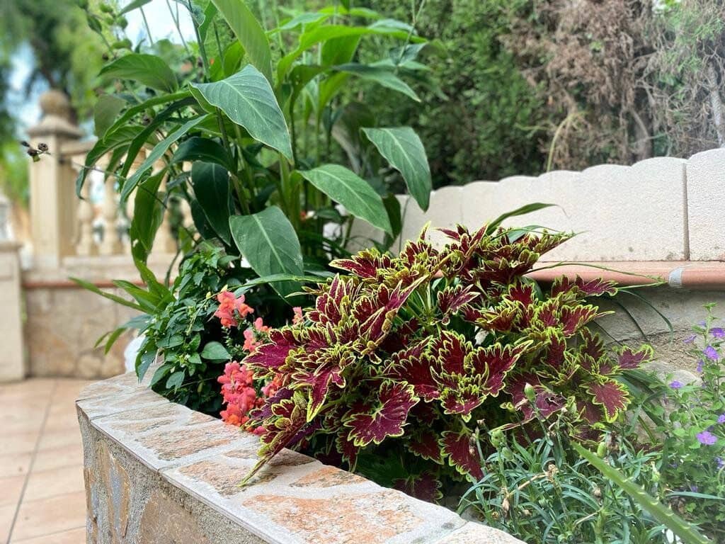 2 soveværelse Semi-Rækkehus til salg i Denia med swimmingpool garage - € 262.500 (Ref: 8695512)