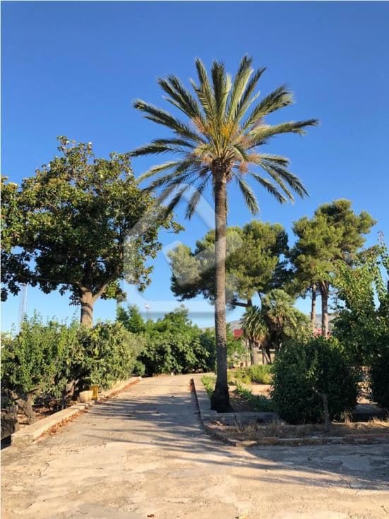 5 soverom Finca/Herregård til salgs i Beniarbeig - € 599 900 (Ref: 8695539)