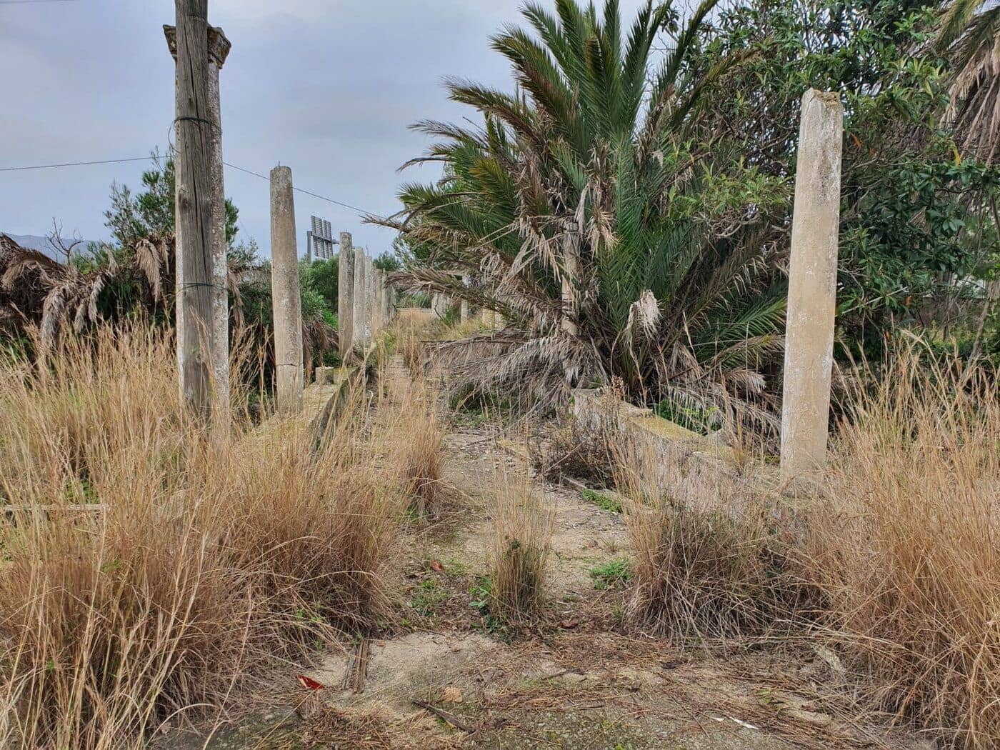 Byggegrund til salg i Pedreguer - € 650.000 (Ref: 8695546)