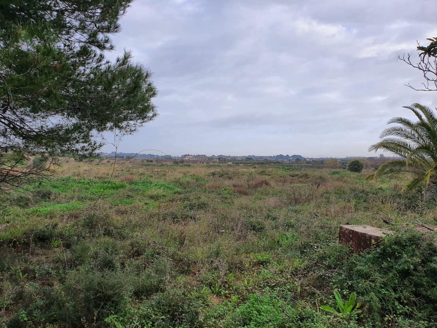 Maalaistalo myytävänä paikassa Ondara - 650 000 € (Ref: 8695547)