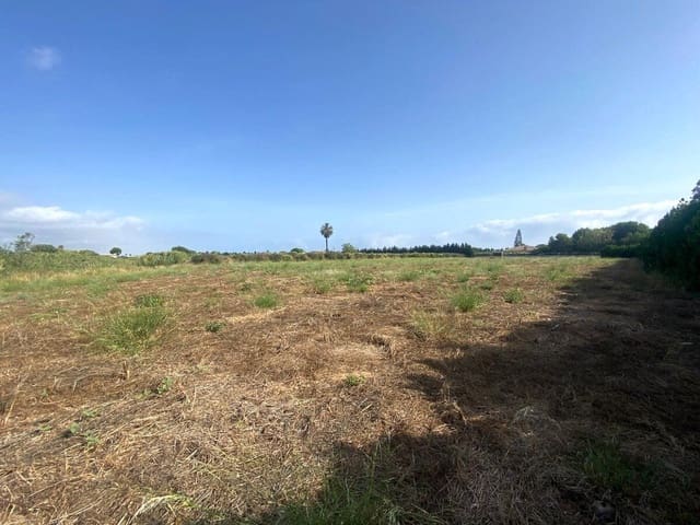 Bouwgrond te koop in Els Poblets - € 220.000 (Ref: 9072328)