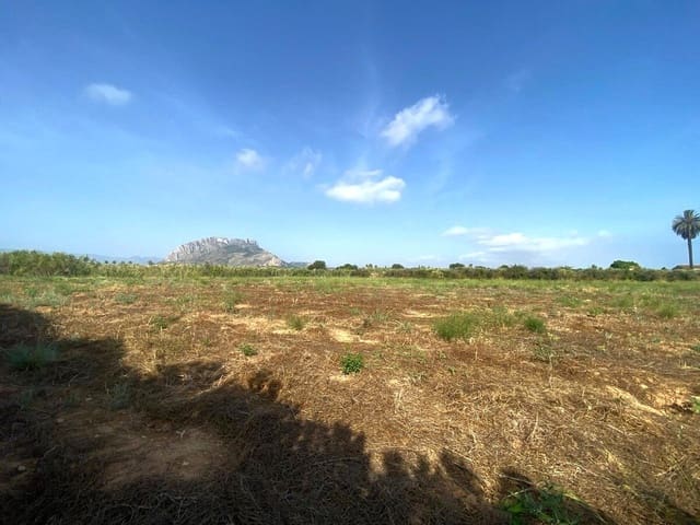 Bouwgrond te koop in Els Poblets - € 220.000 (Ref: 9072328)