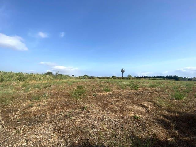 Bouwgrond te koop in Els Poblets - € 220.000 (Ref: 9072328)