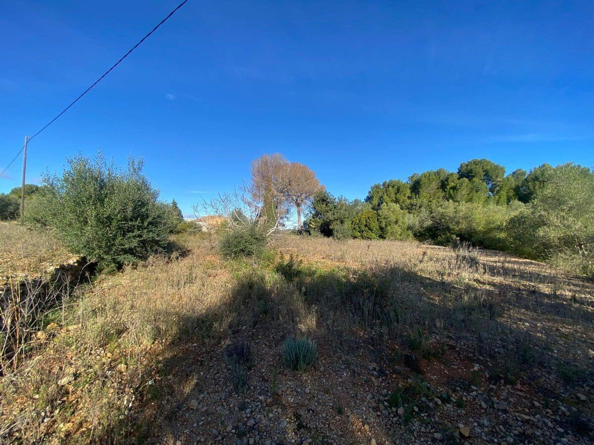 Finca/Casa Rural de 3 habitaciones en Pedreguer en venta - 225.000 € (Ref: 9503113)