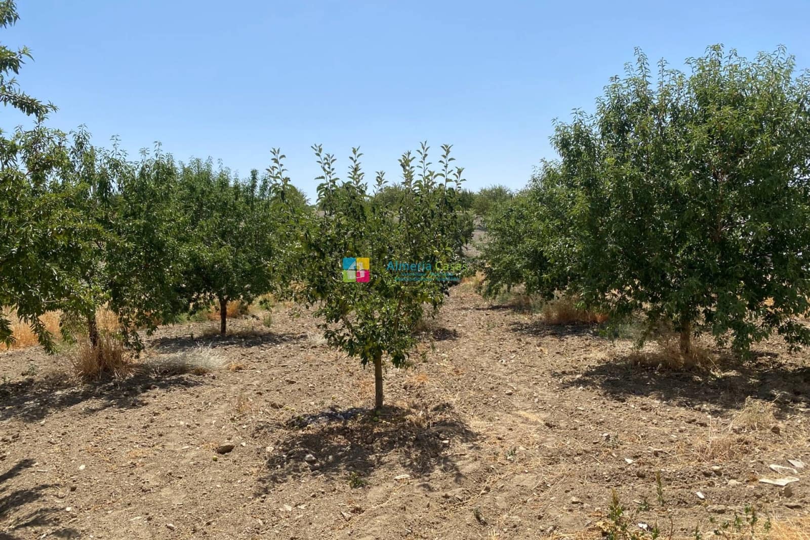 7 bedroom Finca/Country House for sale in Oria with garage - € 180,000 (Ref: 10009720)