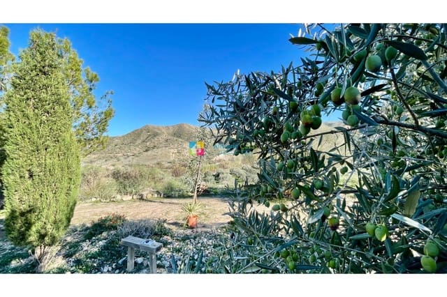 4 Zimmer Finca/Landgut zu verkaufen in Almanzora, Cantoria - 299.595 € (Ref: 10062635)