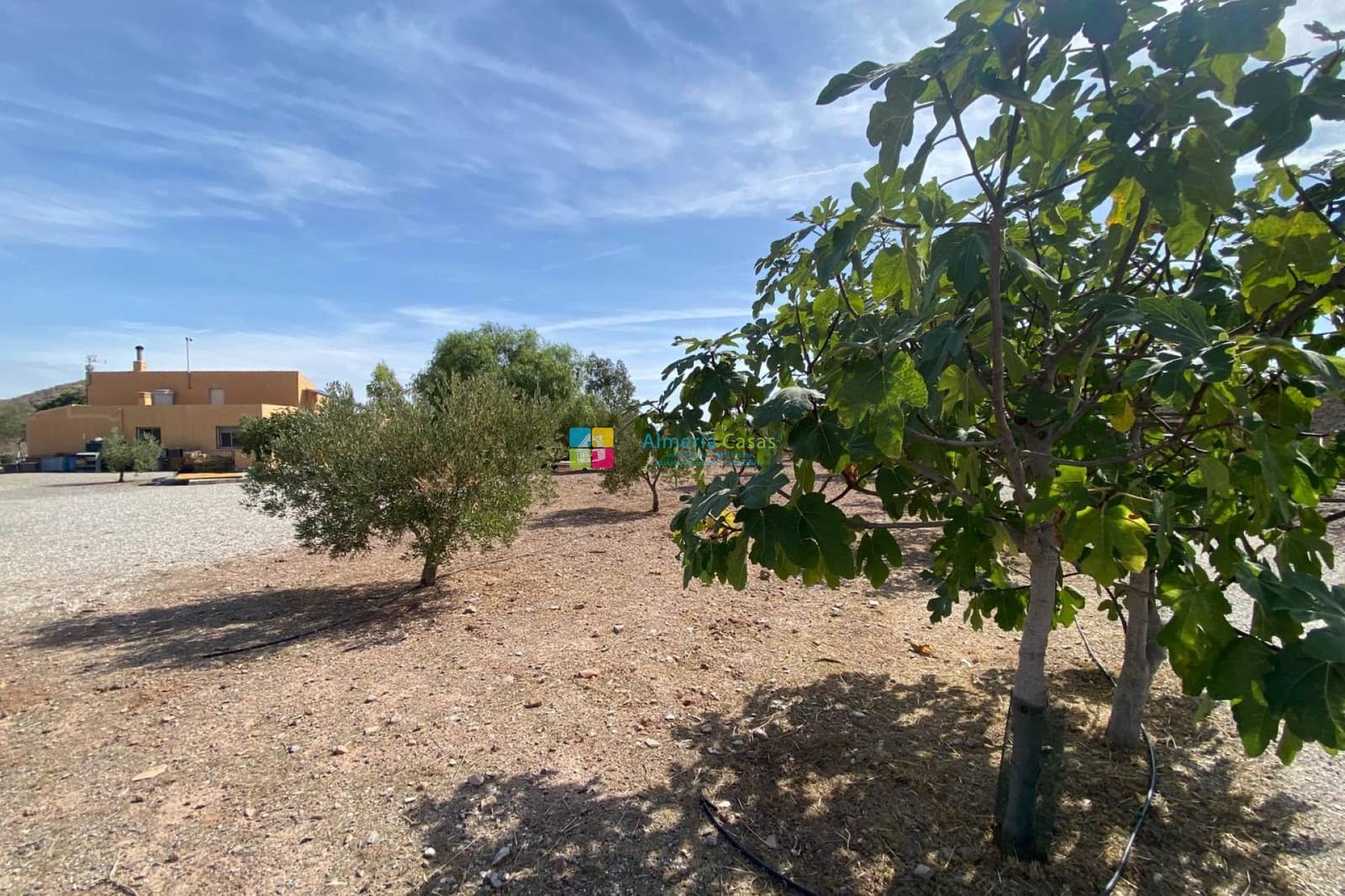 3 bedroom Finca/Country House for sale in Albox - € 280,000 (Ref: 10125126)
