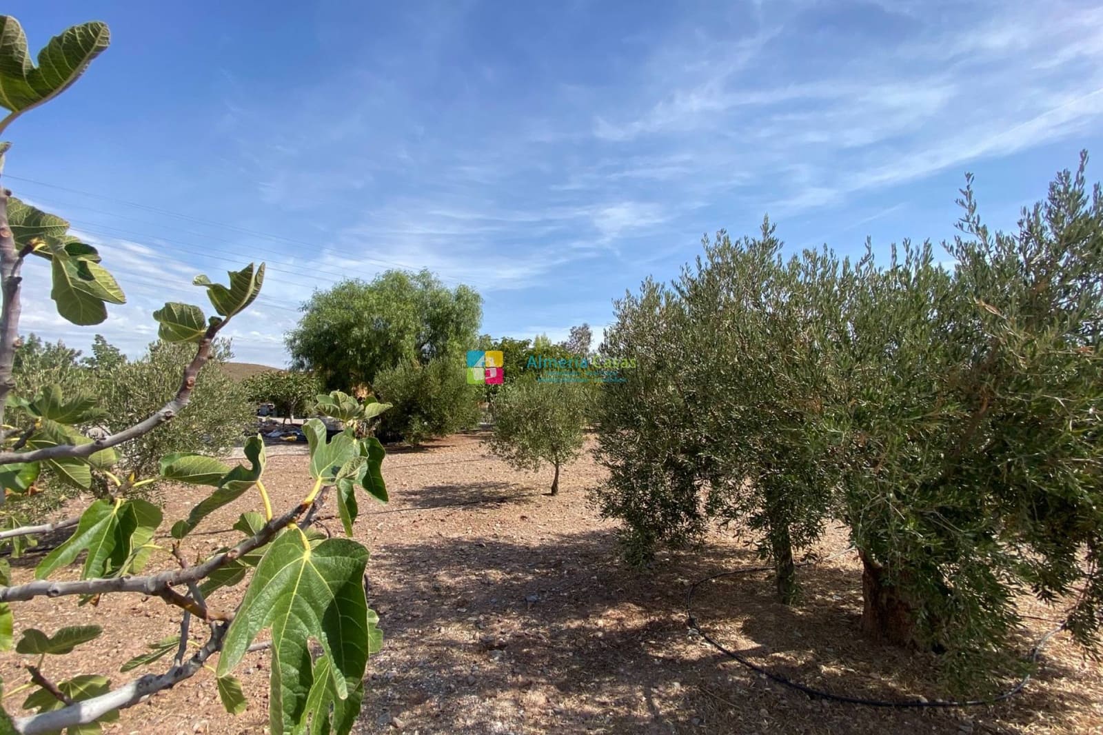 3 bedroom Finca/Country House for sale in Albox - € 280,000 (Ref: 10125126)